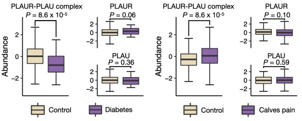 Boxplots comparing abundance of the PLAUR–PLAU complex versus individual PLAUR and PLAU across control, type 2 diabetes, and calves-pain cohorts; complex shows significant differences (P=8.6×10⁻⁵).